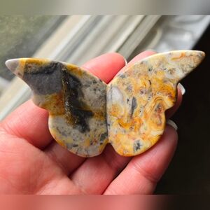 Crazy Lace Butterfly